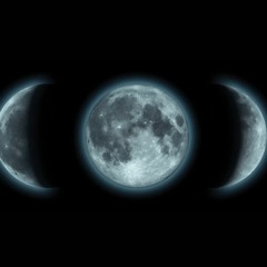 Moonshot