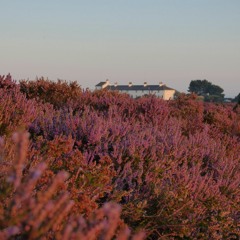 Heath