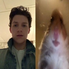 питер паркер (madk1d cover)