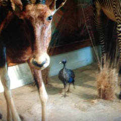 Hardworking (Jazzy Ambient By L On Marraskuu)