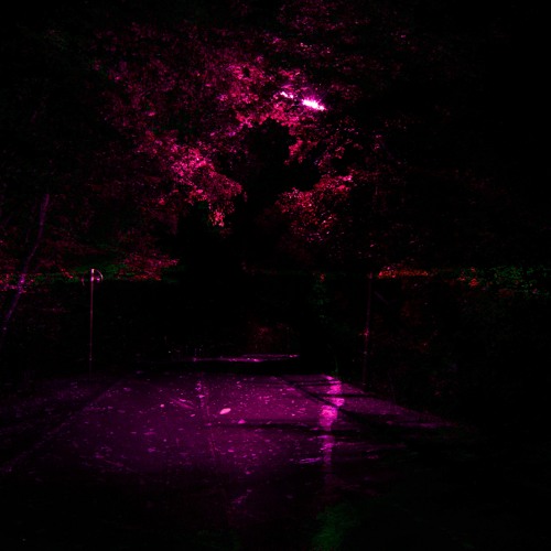 Stream Dislove by Sepherance | Listen online for free on SoundCloud 