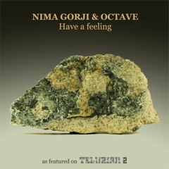 Nima Gorji & Octave - Have A Feeling (snippet)