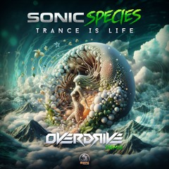 Trance Is Live (Overdrive Rmx) - Preview