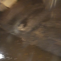 dub$ack - the majority of people are decoys(the stupid stupid henchmen cover