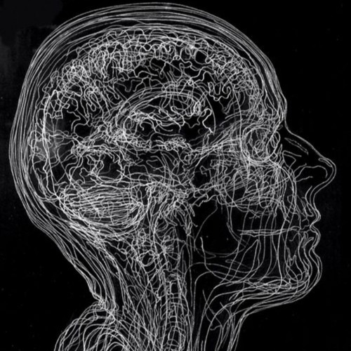 PACO from NeuvilPRJCT//NPR06.05.24