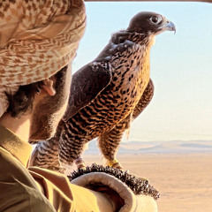 تجهزو ماعاد فيها معاذير