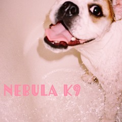 Nebula K9