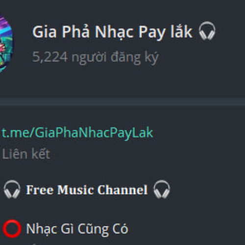 NST VIETMIX 2025 - THẤT TÌNHH