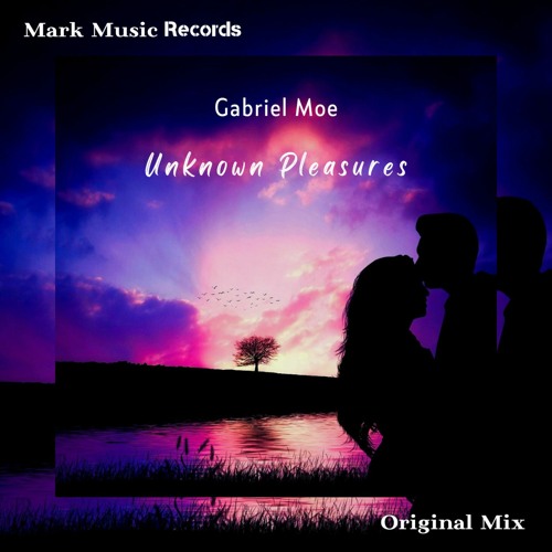 Gabriel Moe - Unknown Pleasures (Original Mix)