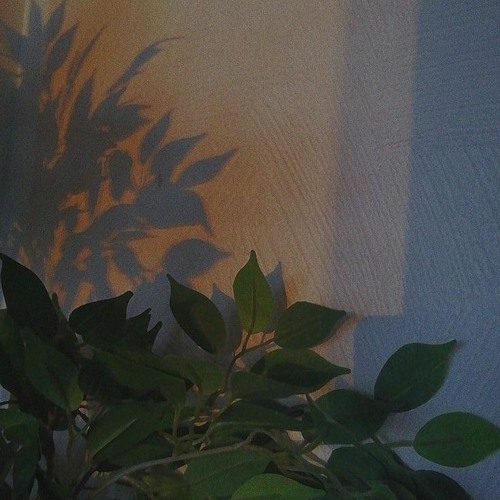بودكاست."