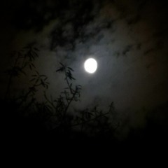 𝔲𝔫𝔡𝔢𝔯 𝔱𝔥𝔢 𝔪𝔬𝔬𝔫 | 𝖍𝖊𝖗𝖓𝖋𝖎𝖊𝖑𝖉 𝖊𝖉𝖎𝖙