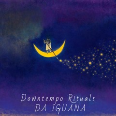 Da Iguana - November New Moon