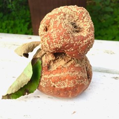 The Beat Combo - Old Skool