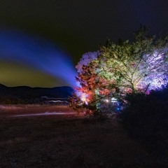 Live @ Event Horizon - 2020 New Years Day Sunrise