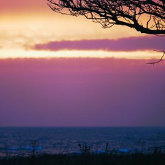 Deep House Echoes _2_1.wav
