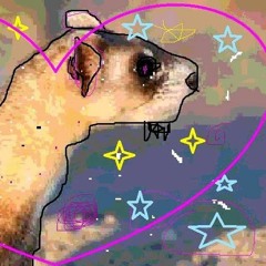 Ferret Tunez