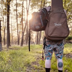 Screen- Twenty One Pilots COVER