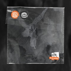 SOUL SOLD SZN (feat. MVKO)