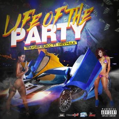 Life Of The Party aka  Fivi  feat Trev Mula