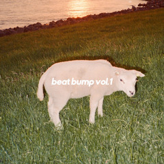 beat bump vol.1