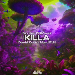 FREE DL: Skrillex & Wiwek - Killa (David Core's Hard Edit)