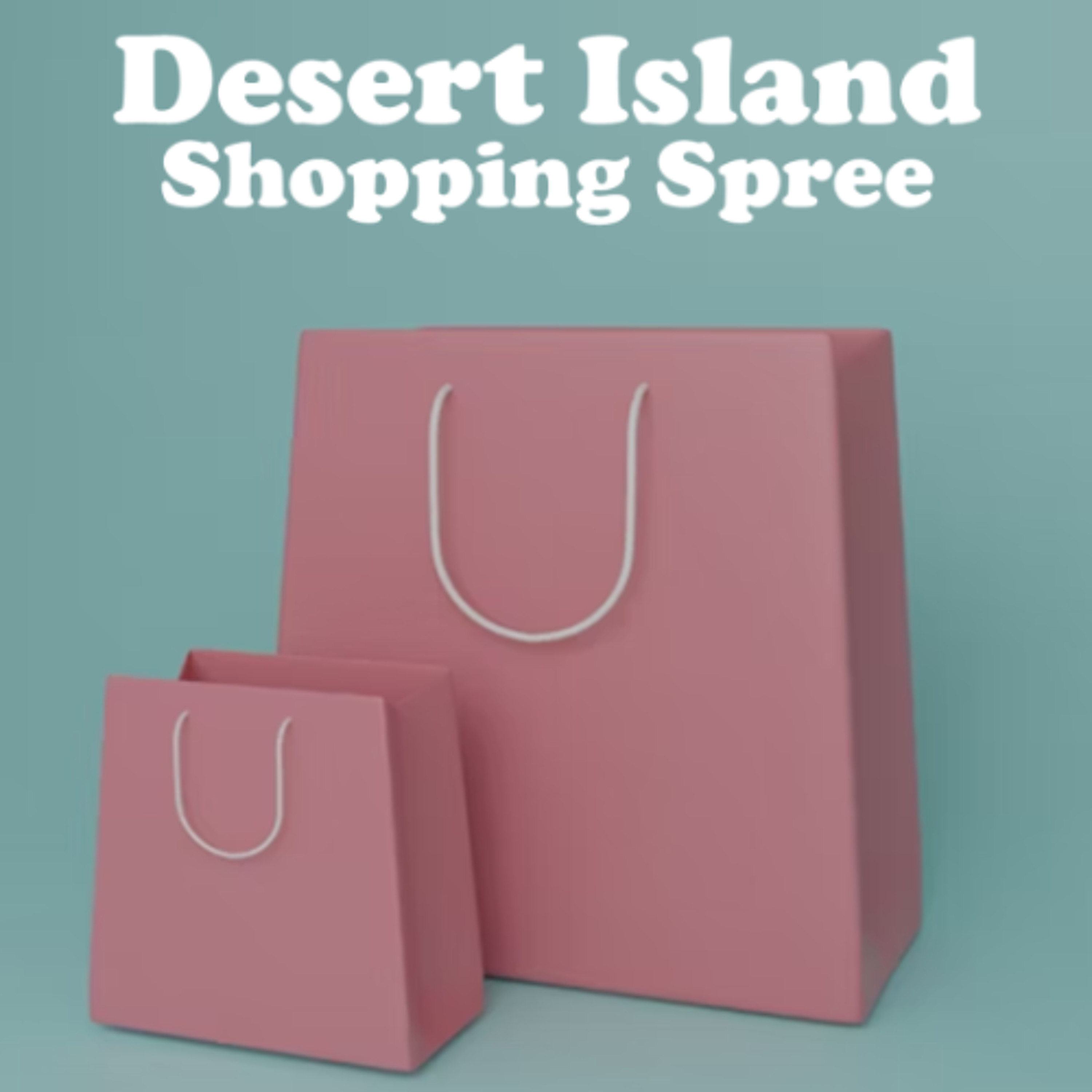 Desert Island Shopping Spree - Nina, Tiana, Althea and Samin - St Brigid's School episode artwork