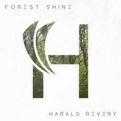 Forest Shine