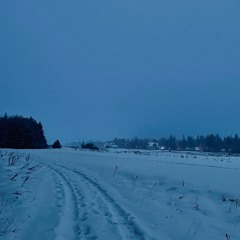 field_clearing (2020)