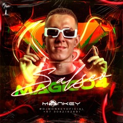 SALSEO MÁGICO 4 - DJ MONKEY