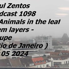 Podcast 1098 @ Animals In The Leaf And Stem Layers - Raupe ( Rio De Janeiro ) 10 05 2024