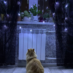 луна - алёна швец. ♡𝑠𝑙𝑜𝑤𝑒𝑑♡