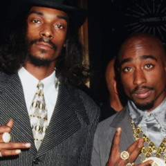 SGZThePlugMCHN & Modric - Snoop Dogg Remix Slimesito