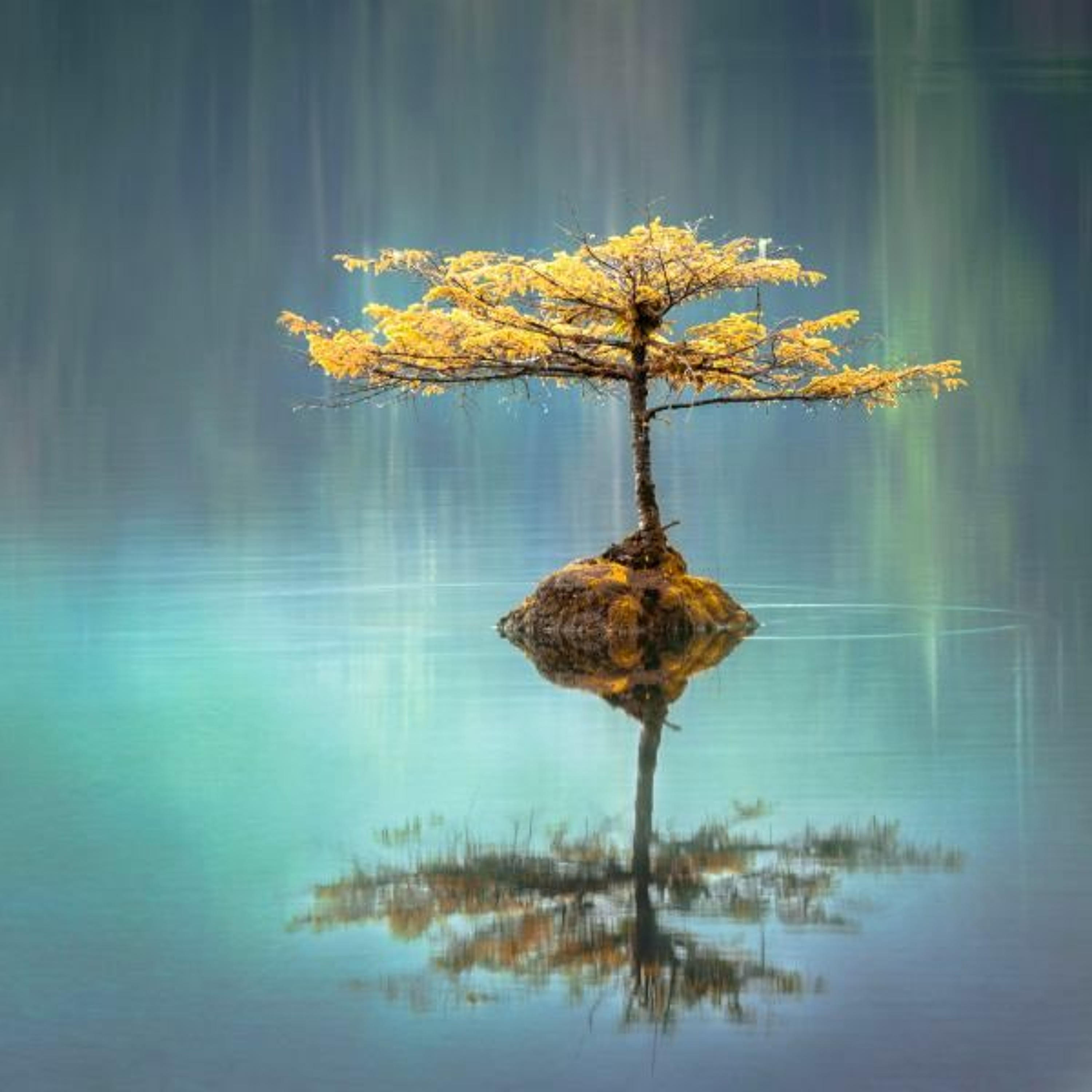 8 Linda Louisa - Let Nothing Disturb You episode artwork
