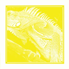 A2 FEEL FREE HI FI - 11 AM DUB