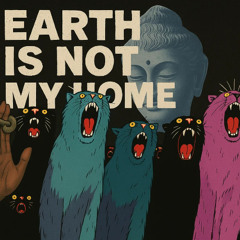 Mink, Schmink in New York