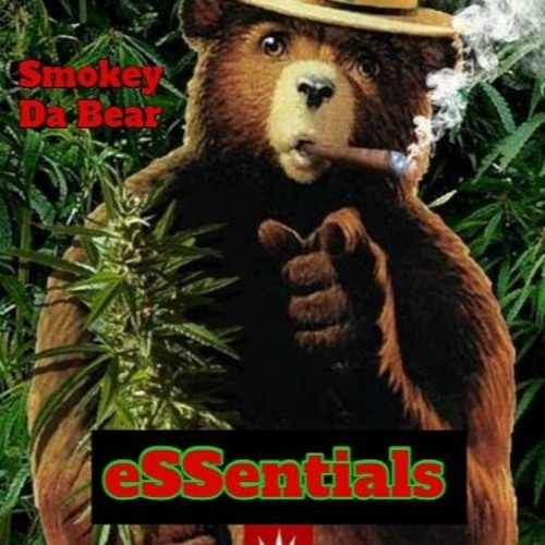 Digital Smoke Vol. 1 Chaz Bear Company Records at SF Art Book Fair