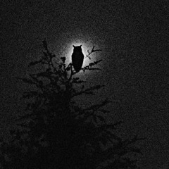 Back to the Underground