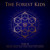 Artwork for PREMIERE: Bovitz - Fil De Perse [LES]