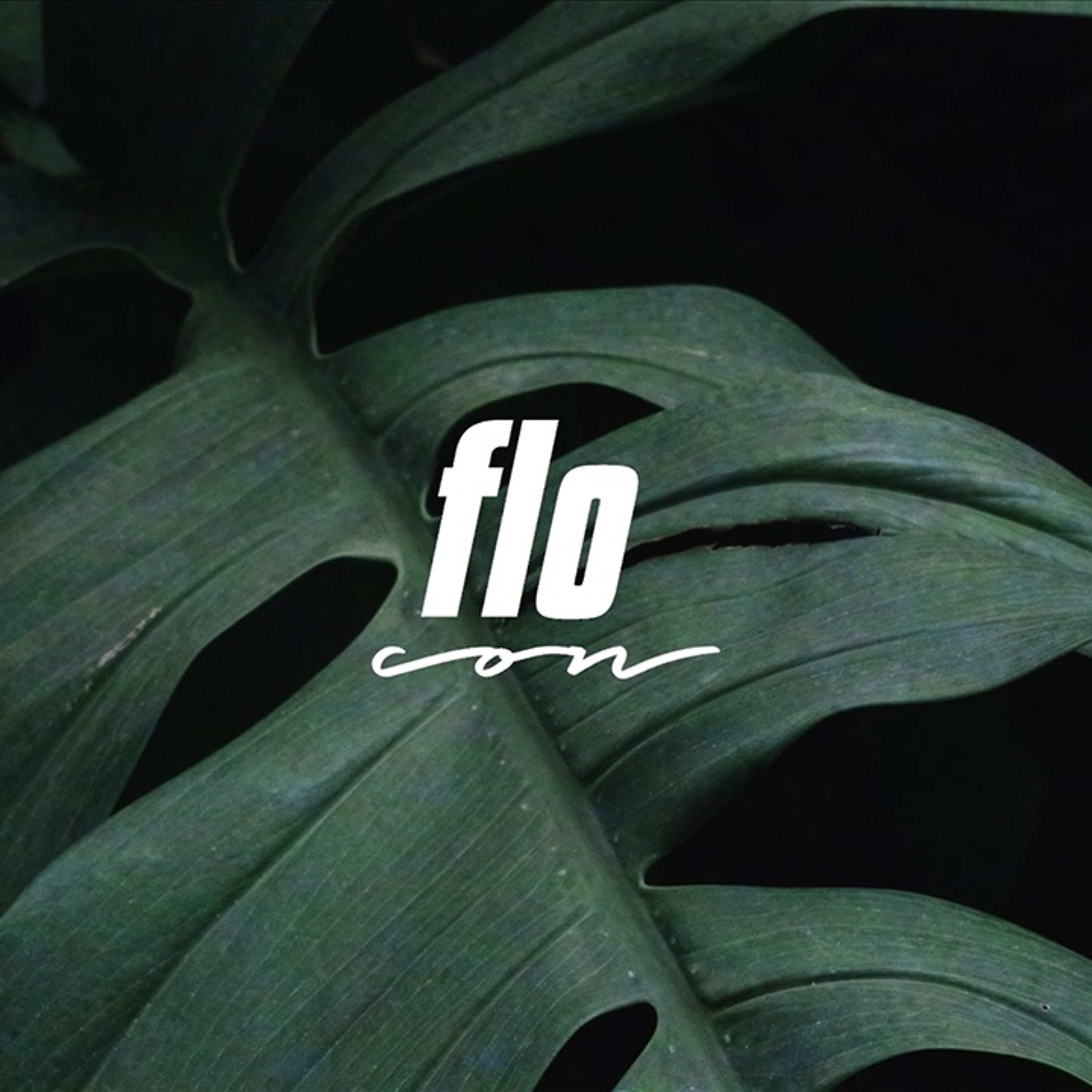 flocon