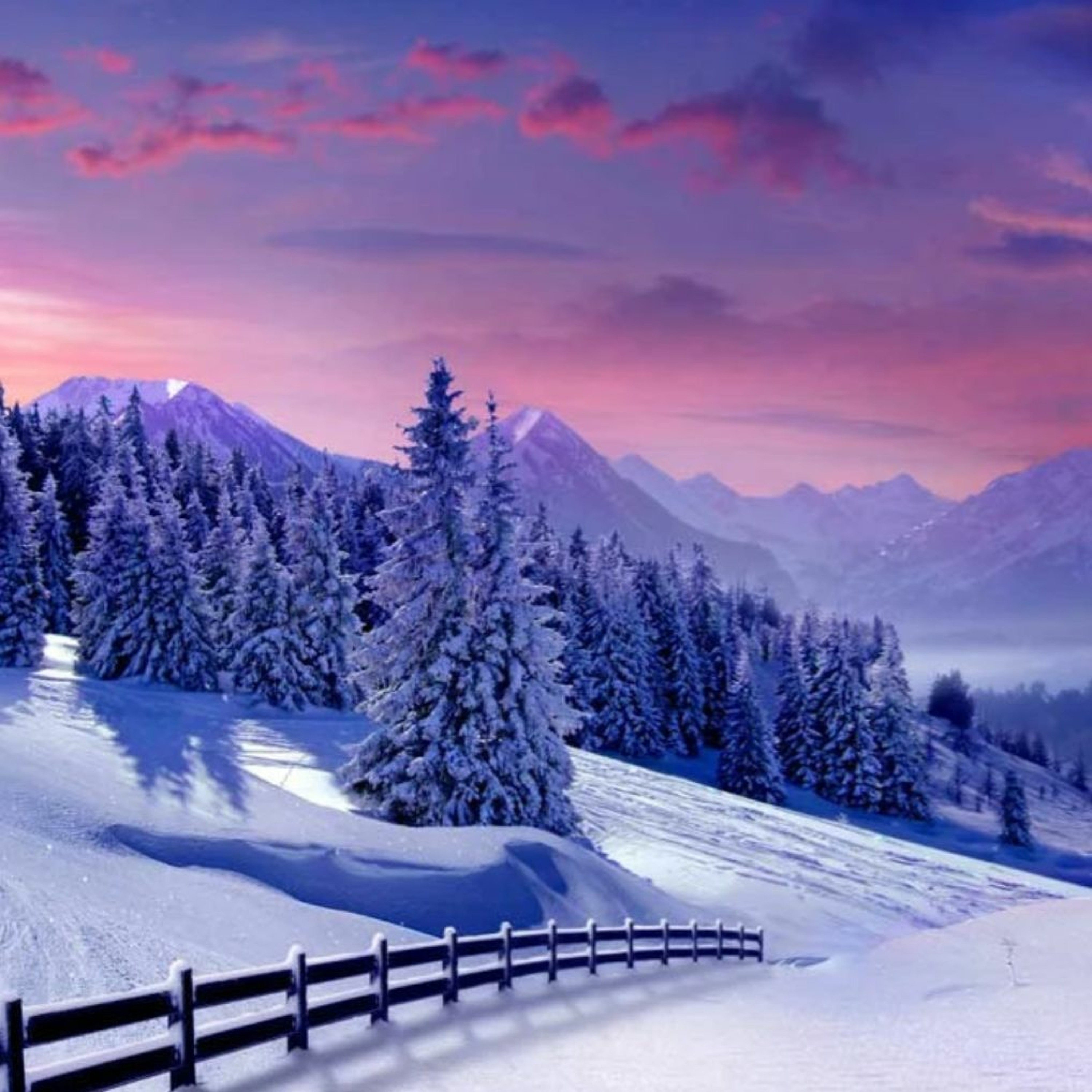 Winter Sessions 2020 thumbnail