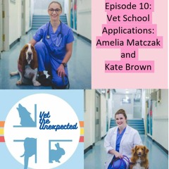 Ep10. Vet School Applications: Kate Brown