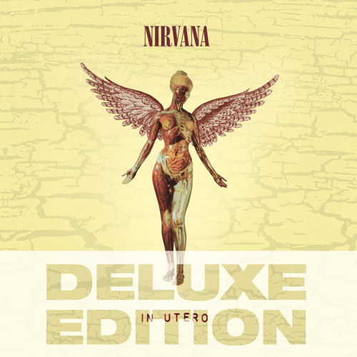 洋楽 [3CD+1DVD] In Utero 20th Anniversary In Utero (20th Anniversary Edition) - Nirvana