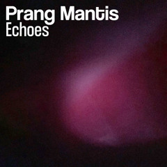Echoes