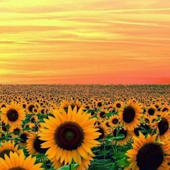 Manu Chao - Me gustas tu Rmx Hardtechno4live (Free Download)