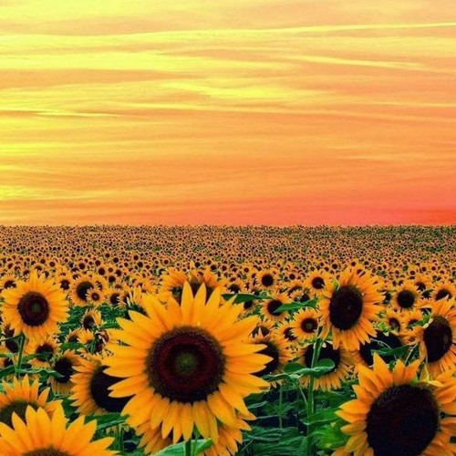 Manu Chao - Me gustas tu Rmx Hardtechno4live (Free Download)