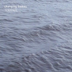 Changing Homes - Terminal