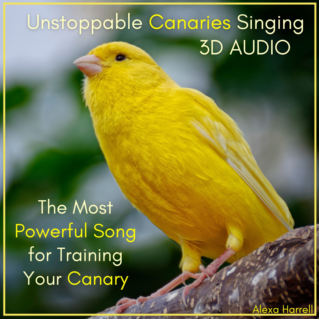 Photo inspiration: Visual Reference: Stream Alexa Harrell Listen To 3D Audio