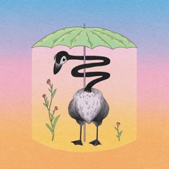 Umbrellas And Parasols