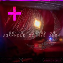 NYE Warren Wormhole 6 - 9AM