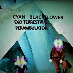 Exo Terrestrial Perambulation